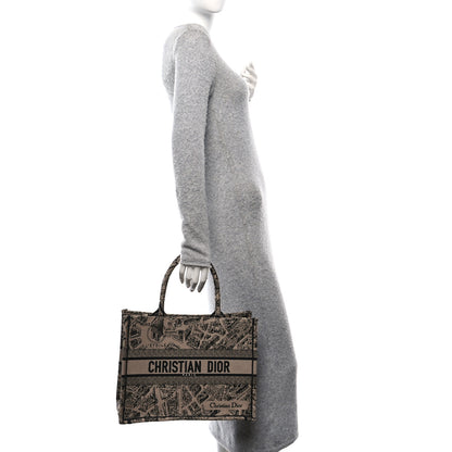 Christian Dior Canvas Embroidered Medium Plan De Paris Book Tote Beige Multi 2 of 10