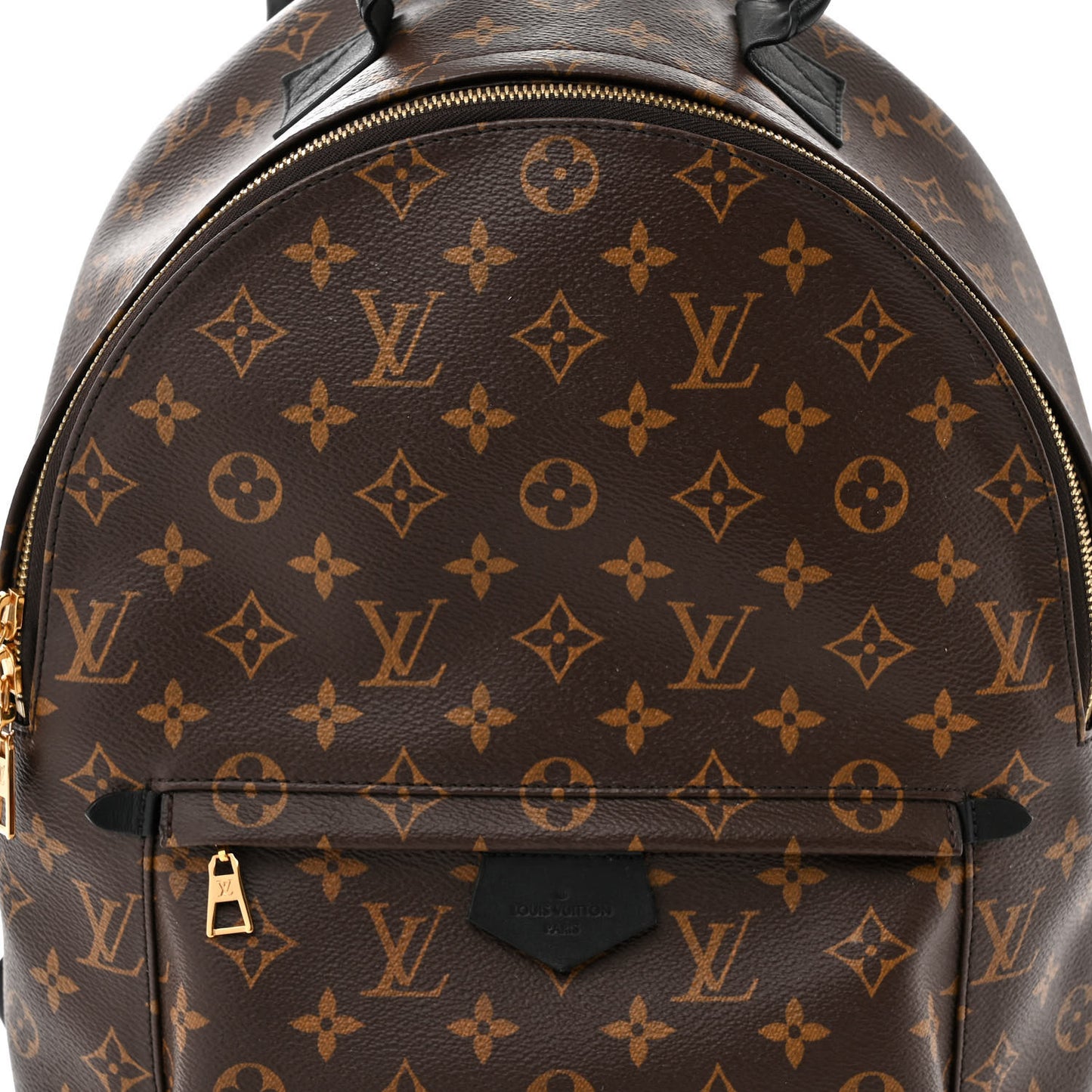 Monogram Palm Springs Backpack MM