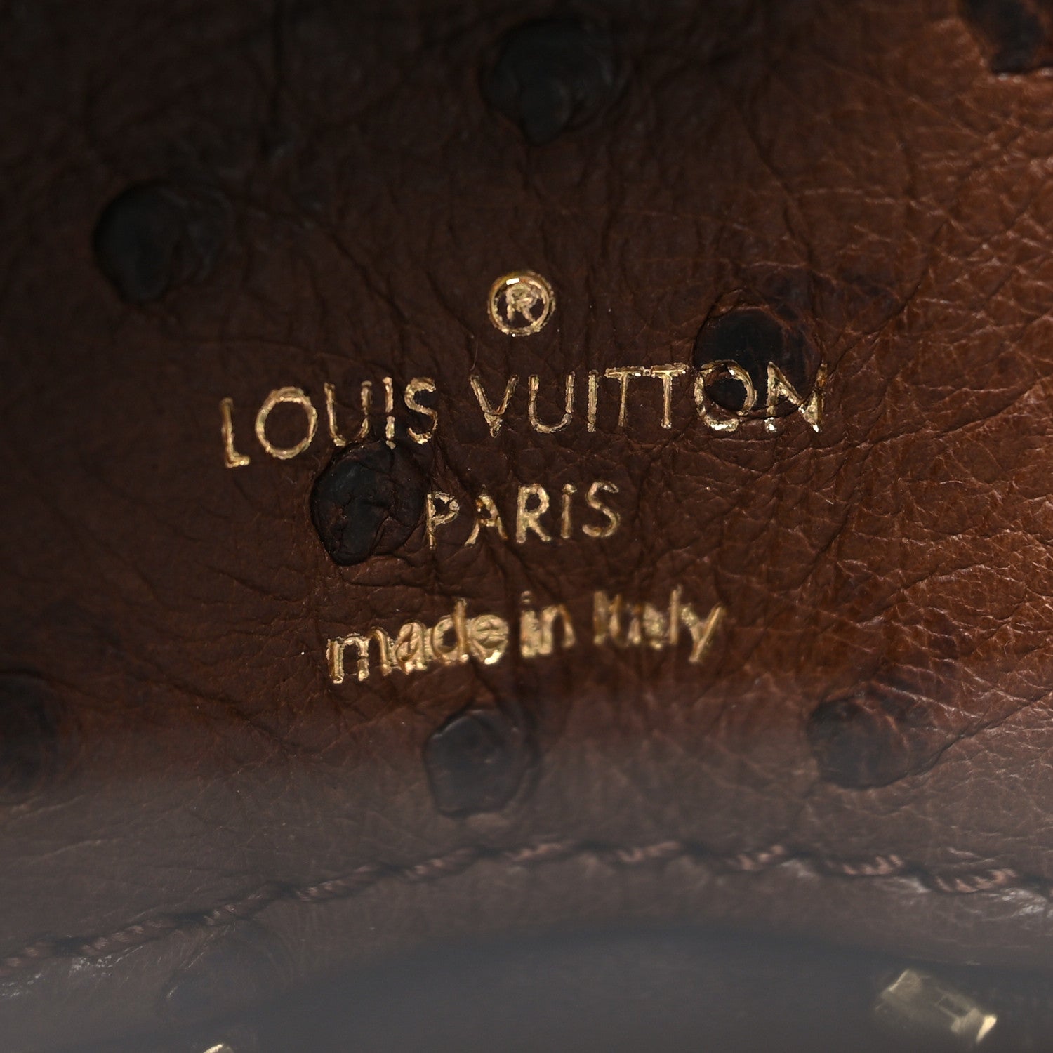 Louis Vuitton Monogram Etoile Exotique GM Miel 12 of 14