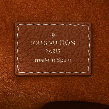 Louis Vuitton Grained Calfskin Low Key Hobo PM Cognac 7 of 10