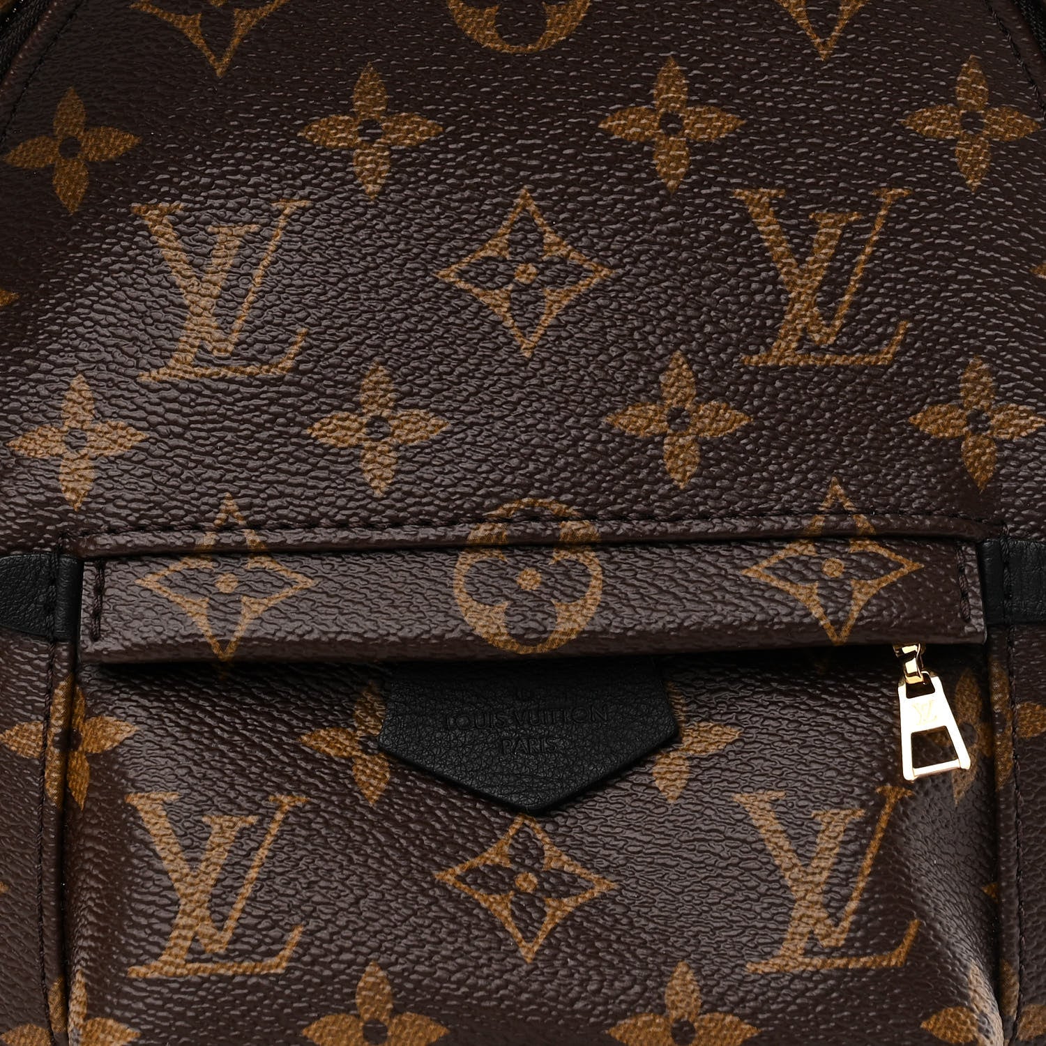 Louis Vuitton Monogram Palm Springs Backpack Mini 7 of 11