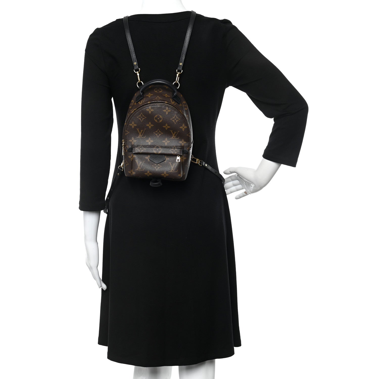 Louis Vuitton Monogram Palm Springs Backpack Mini 2 of 10