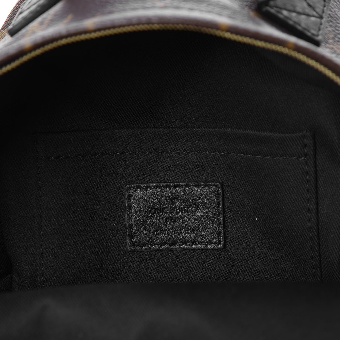 Monogram Palm Springs Backpack Mini