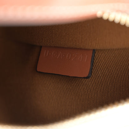 Celine Canvas Calfskin Ava Triomphe Shoulder Bag White 6 of 10