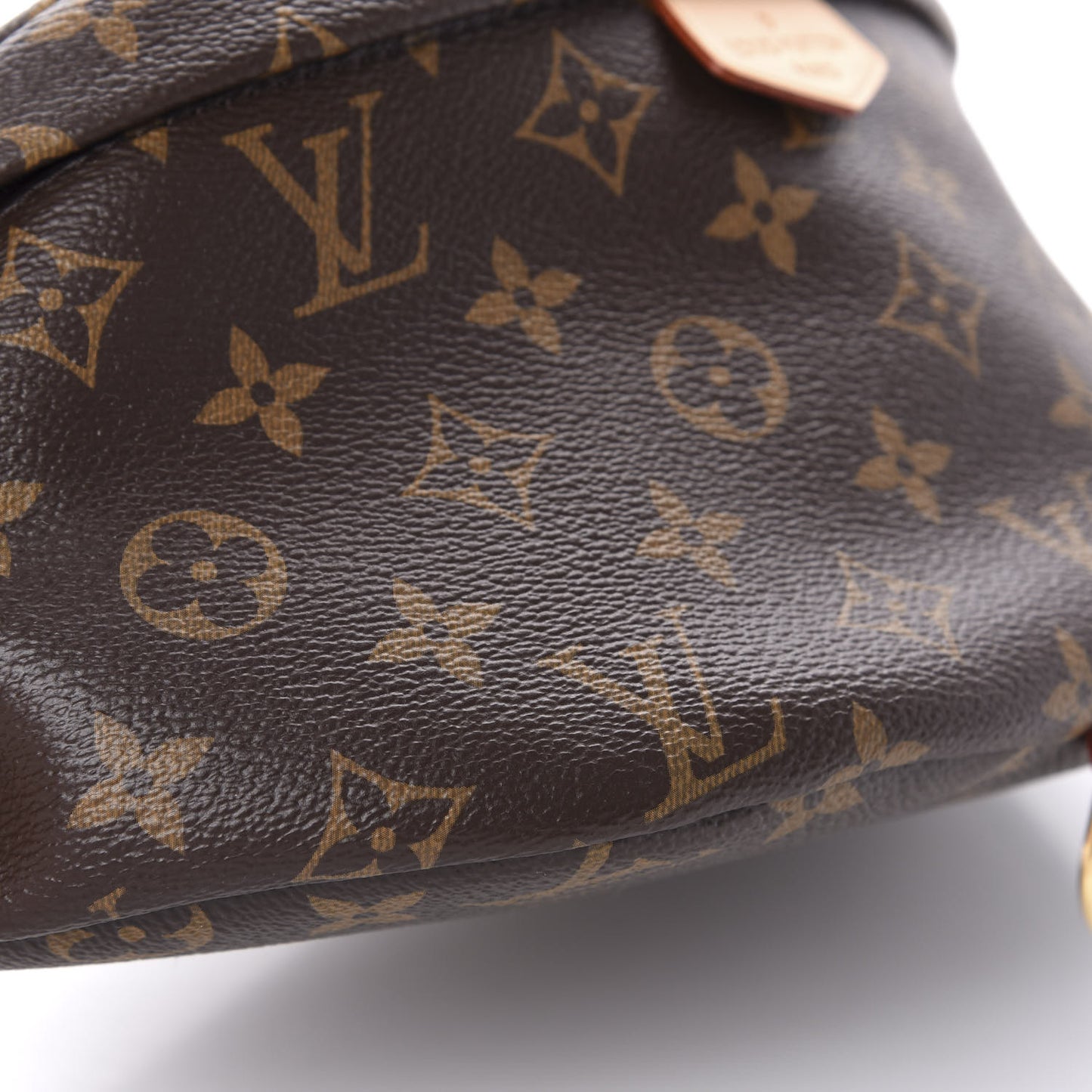 Monogram Bumbag