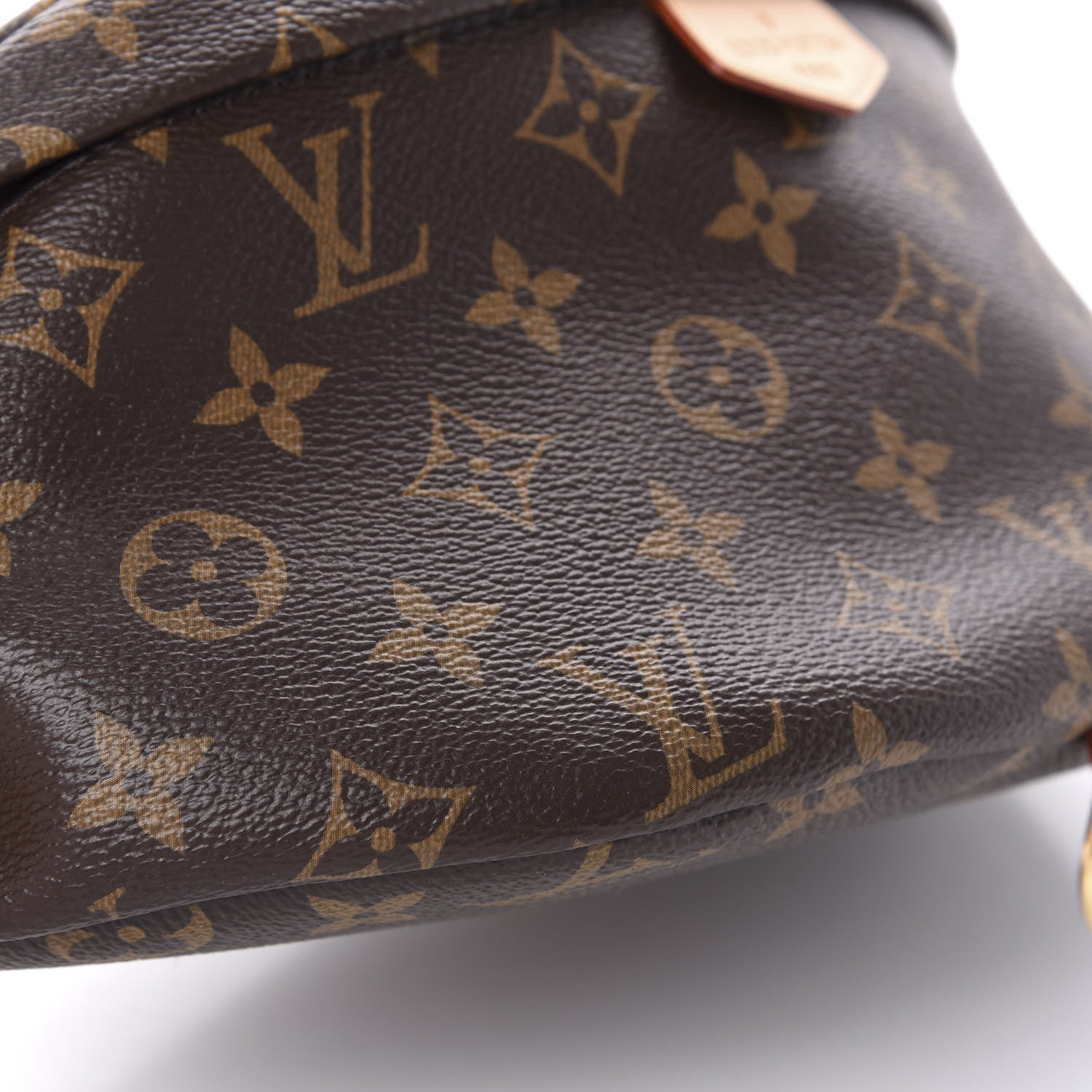 Louis Vuitton Monogram Bumbag 6 of 10