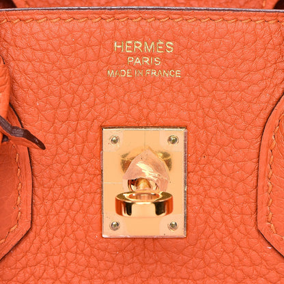 Hermes Togo Birkin 25 Feu 6 of 33