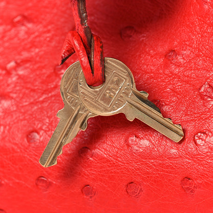 Hermes Ostrich Birkin 30 Rouge Vif 30 of 33