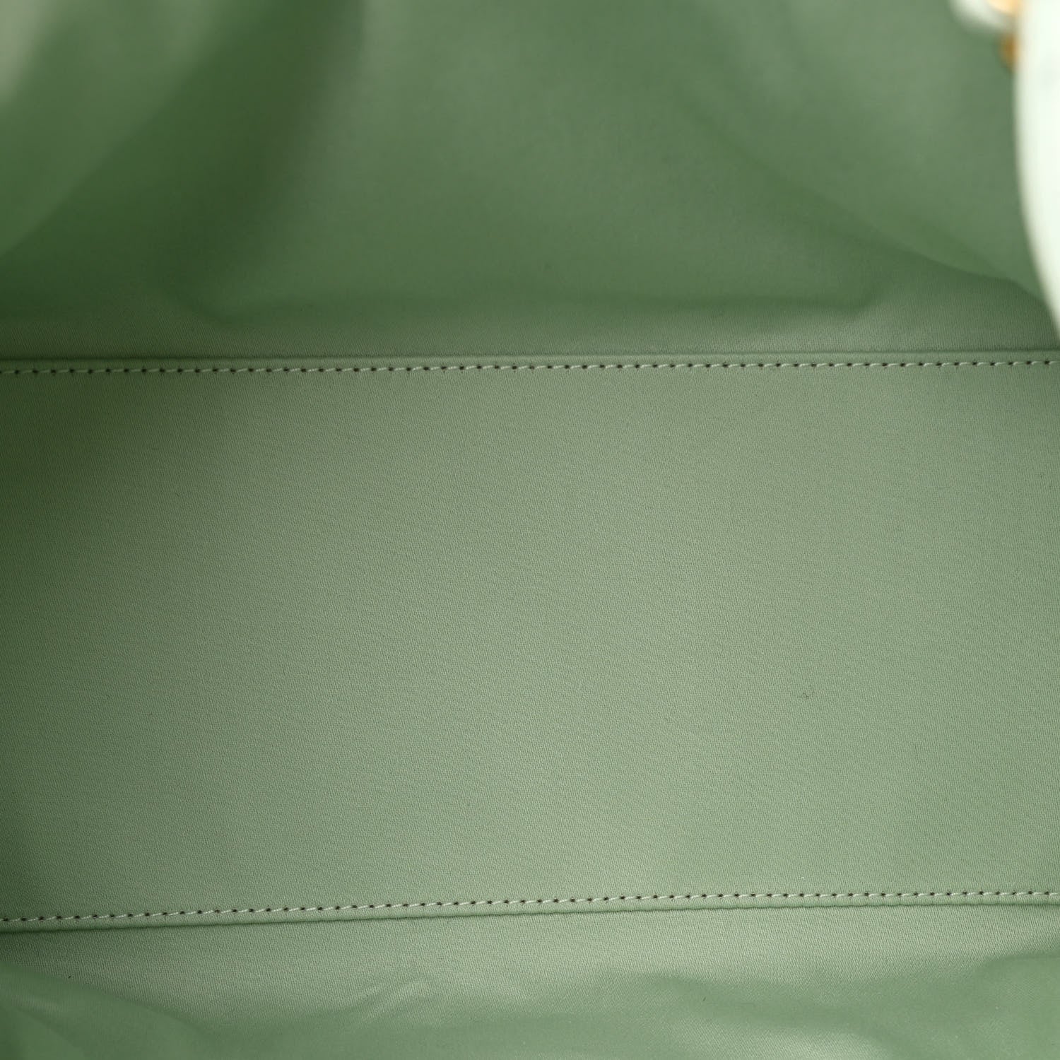 Chanel Caviar Quilted Small Chanel 25 Handbag Light Green 5 of 10