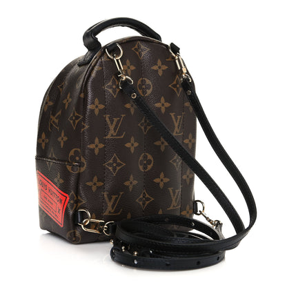 Louis Vuitton Monogram My World Tour Palm Springs Backpack Mini 2 of 11