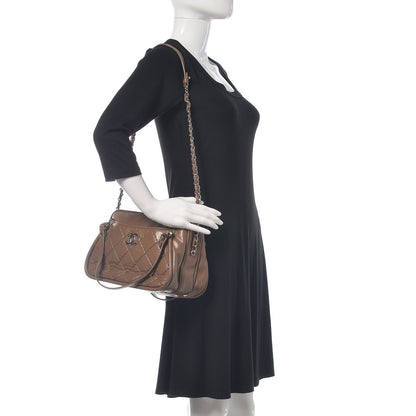 Chanel Iridescent Calfskin Quilted Relax CC Camera Case Brown 2 of 18