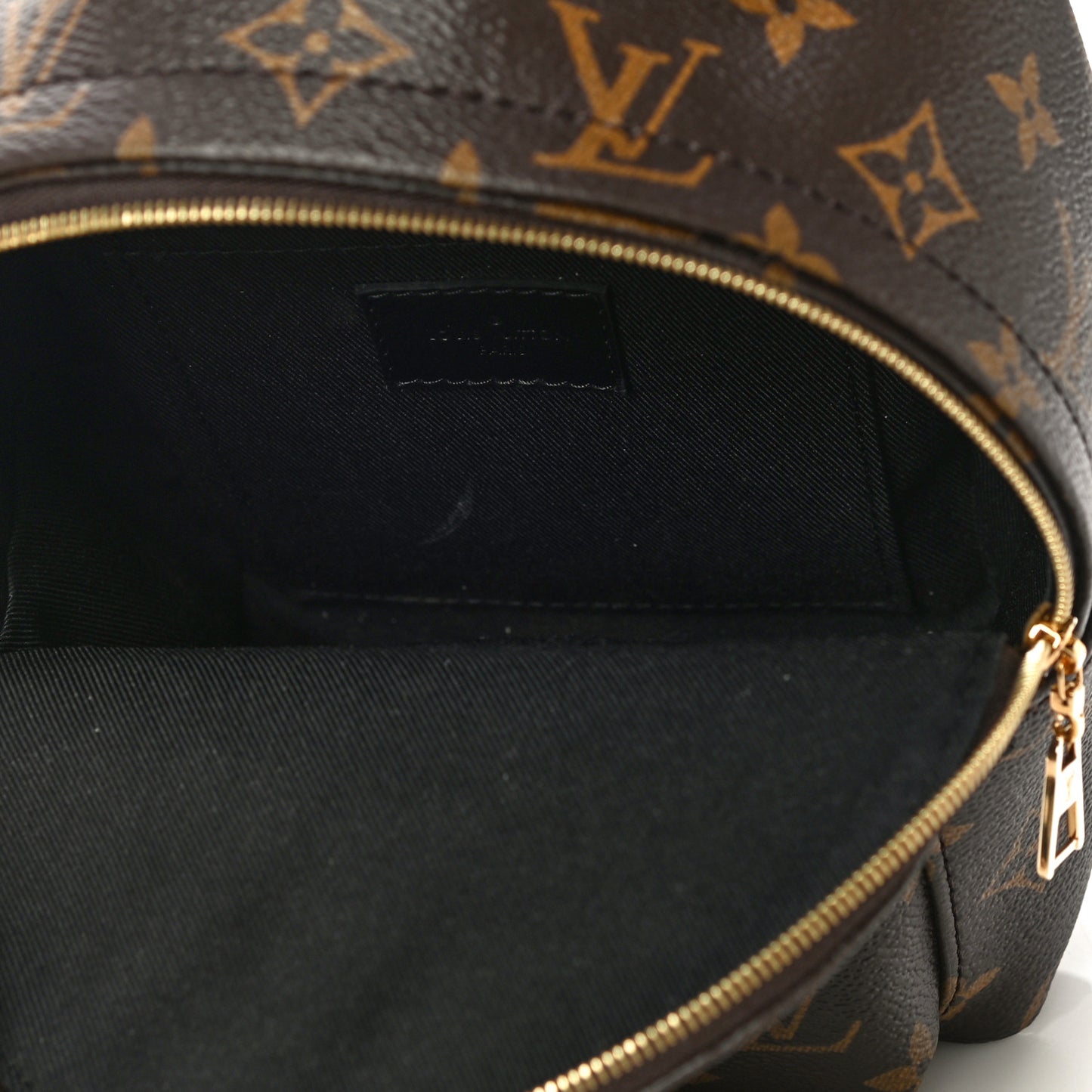 Monogram Palm Springs Backpack Mini