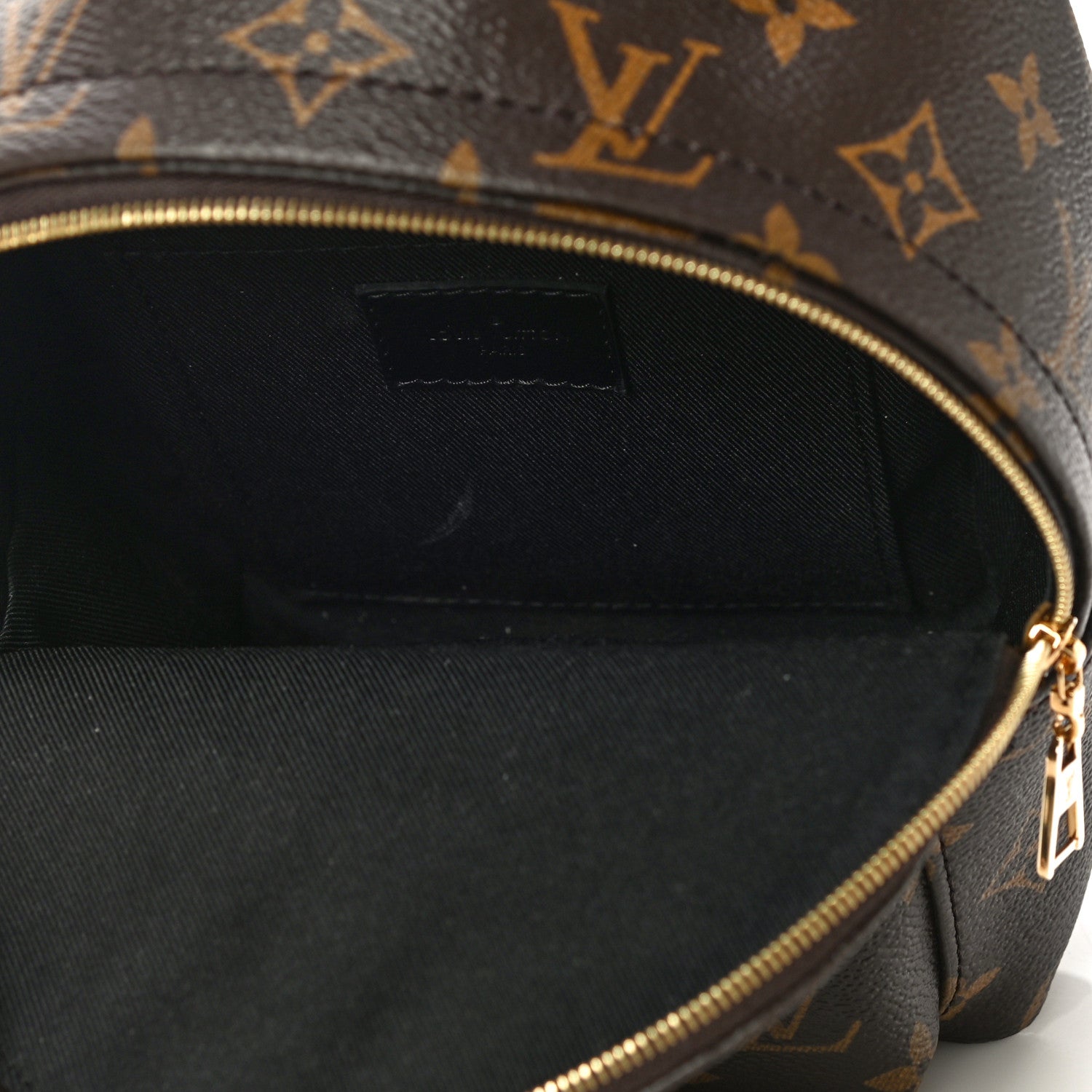 Louis Vuitton Monogram Palm Springs Backpack Mini 7 of 10