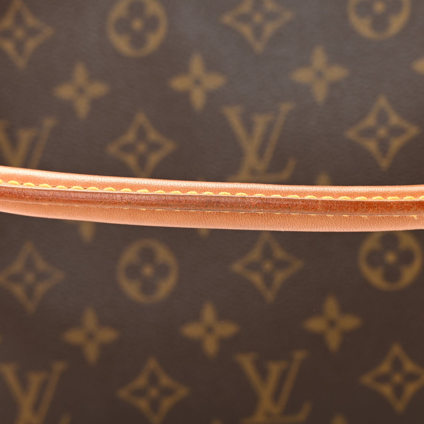 Monogram Looping MM