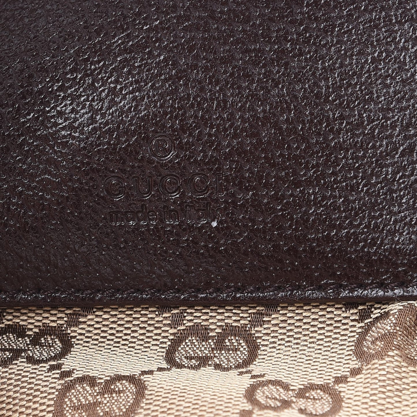 Monogram Web Belt Bag Dark Brown