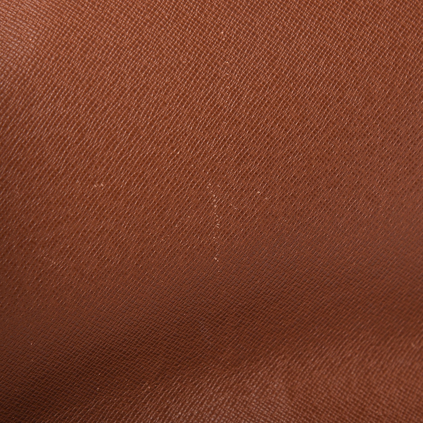 Monogram Musette Salsa