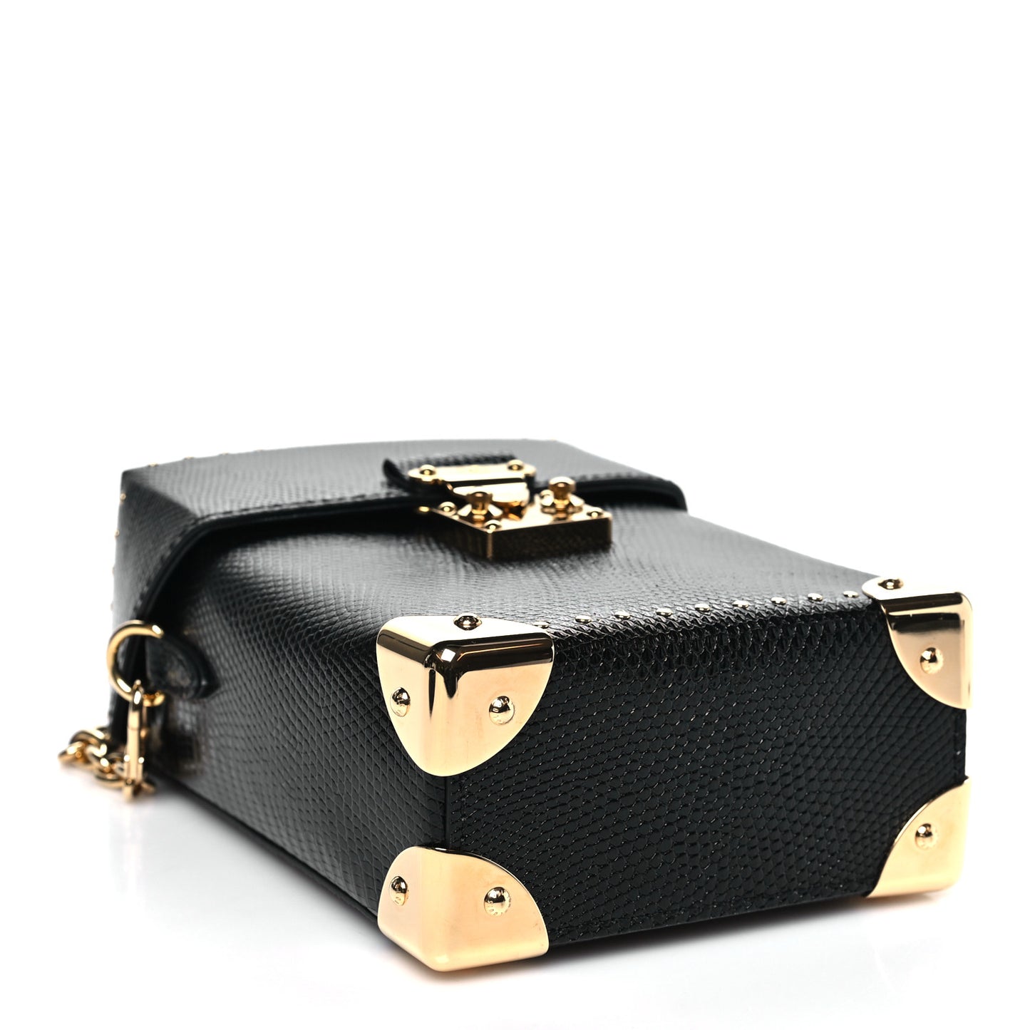 Lizard Camera Box Black