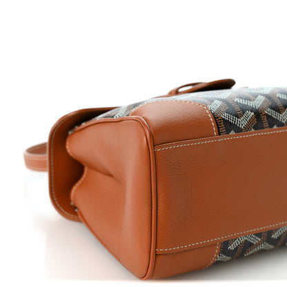 Goyard Goyardine Mini Saigon Black Gold 8 of 9