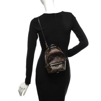 Louis Vuitton Monogram Palm Springs Backpack Mini 2 of 12