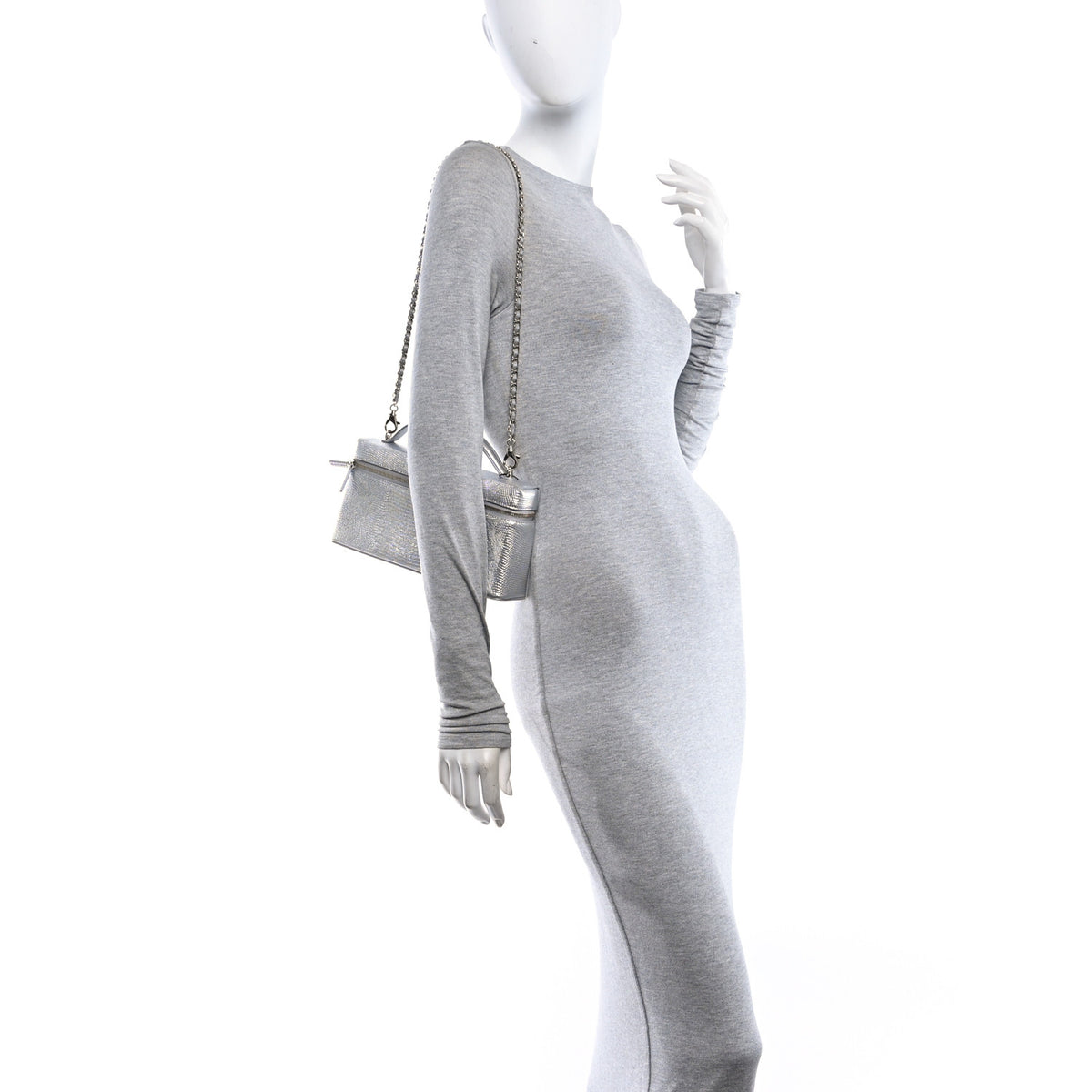 Chanel Lizard Embossed Calfskin Exoticoco Long Vanity With Chain Silvery 2 of 11