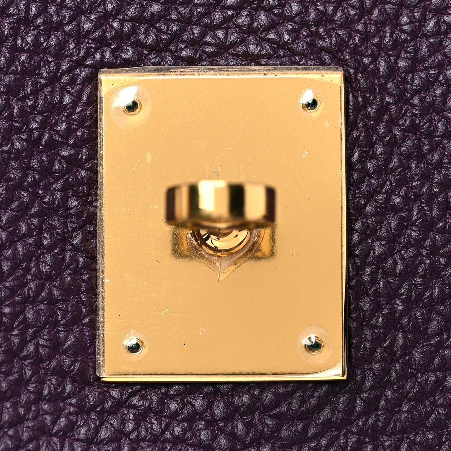 Togo Birkin 35 Raisin