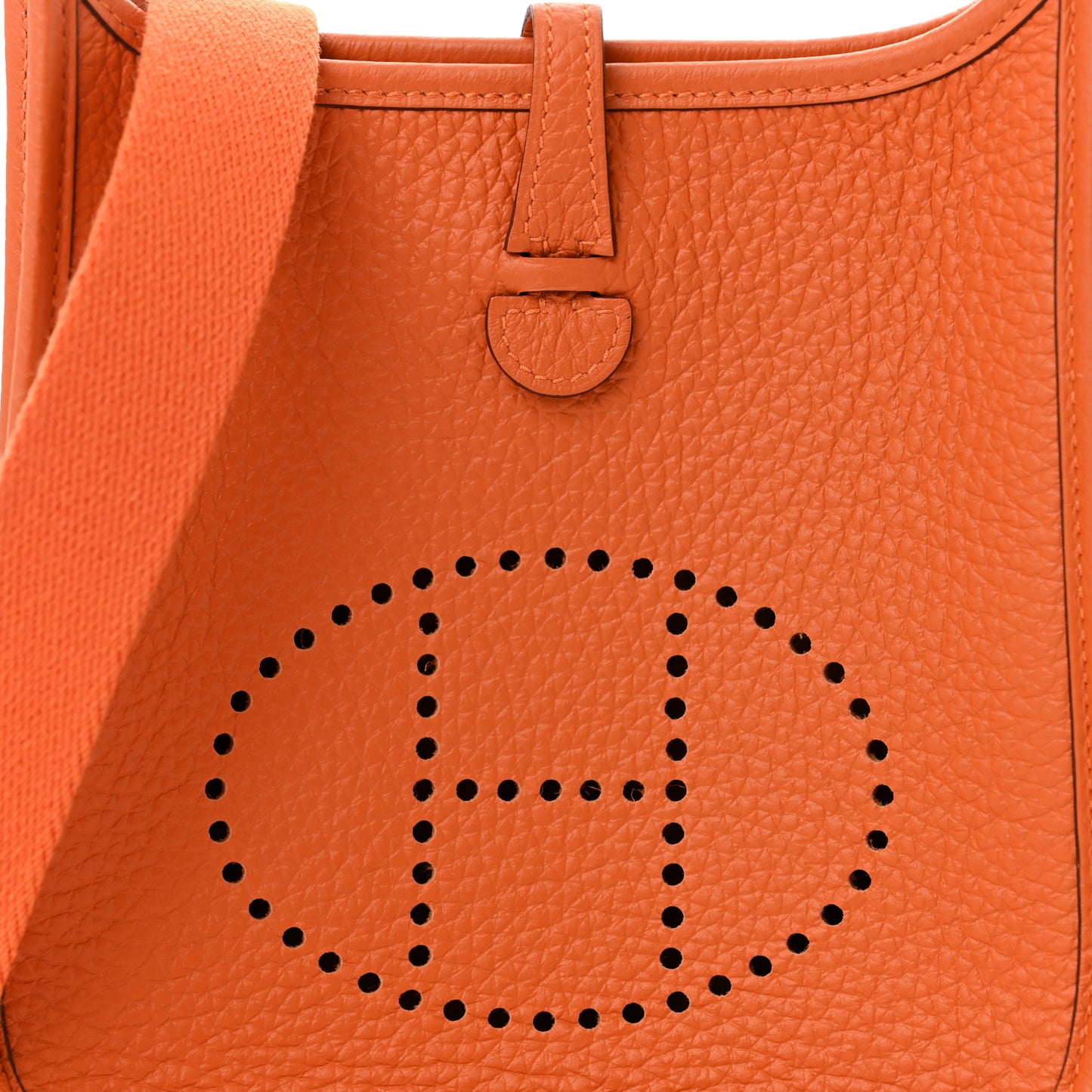 Taurillon Clemence Evelyne TPM Orange
