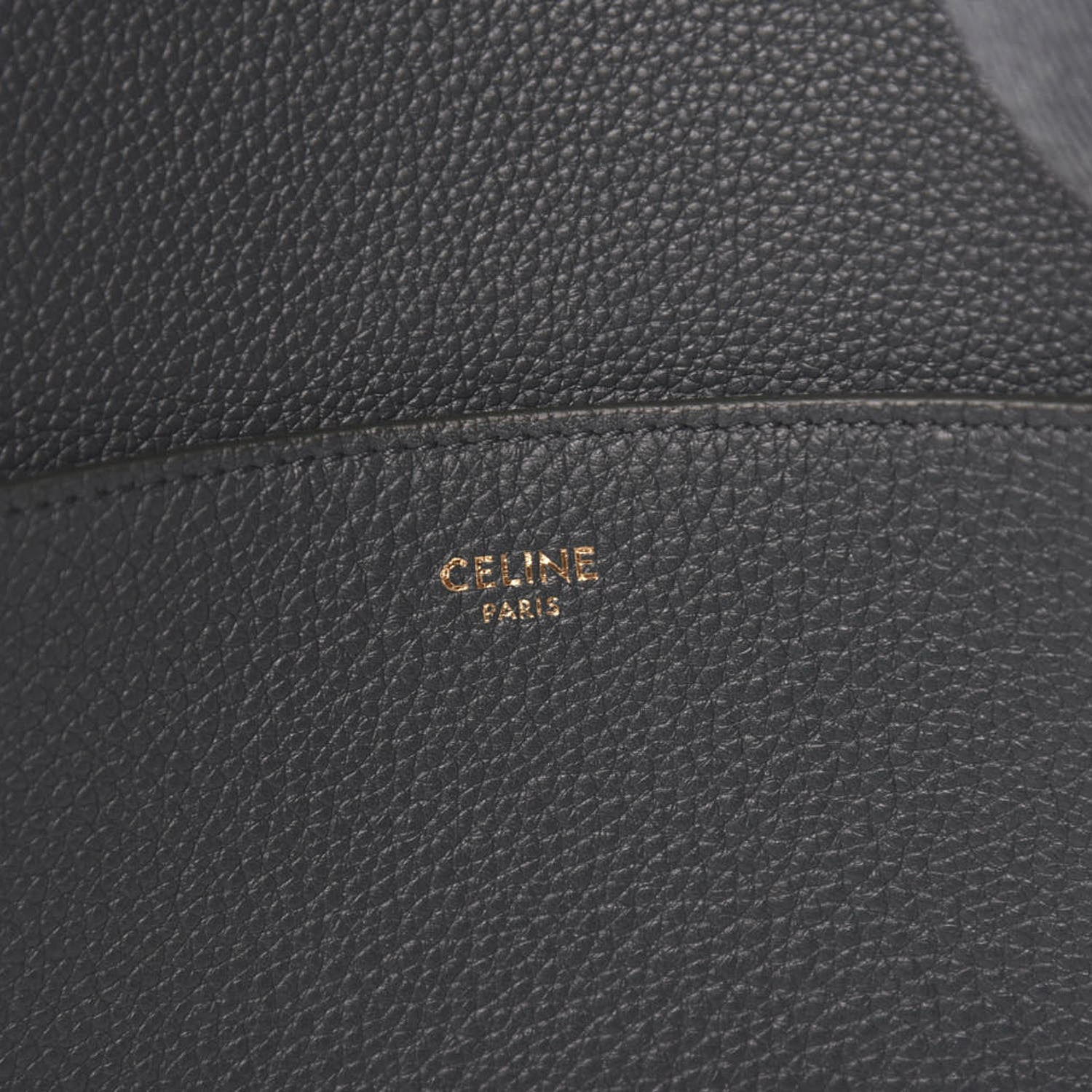 Celine Soft Grained Calfskin Sangle Bucket Bag Amazone 5 of 8