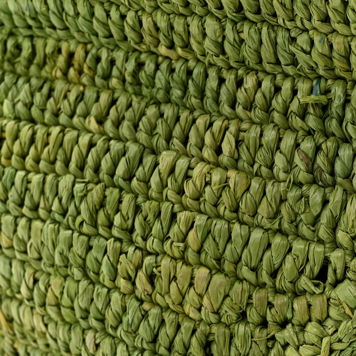Loewe Raffia Paulas Ibiza Fold Shopper Tote Green 10 of 11