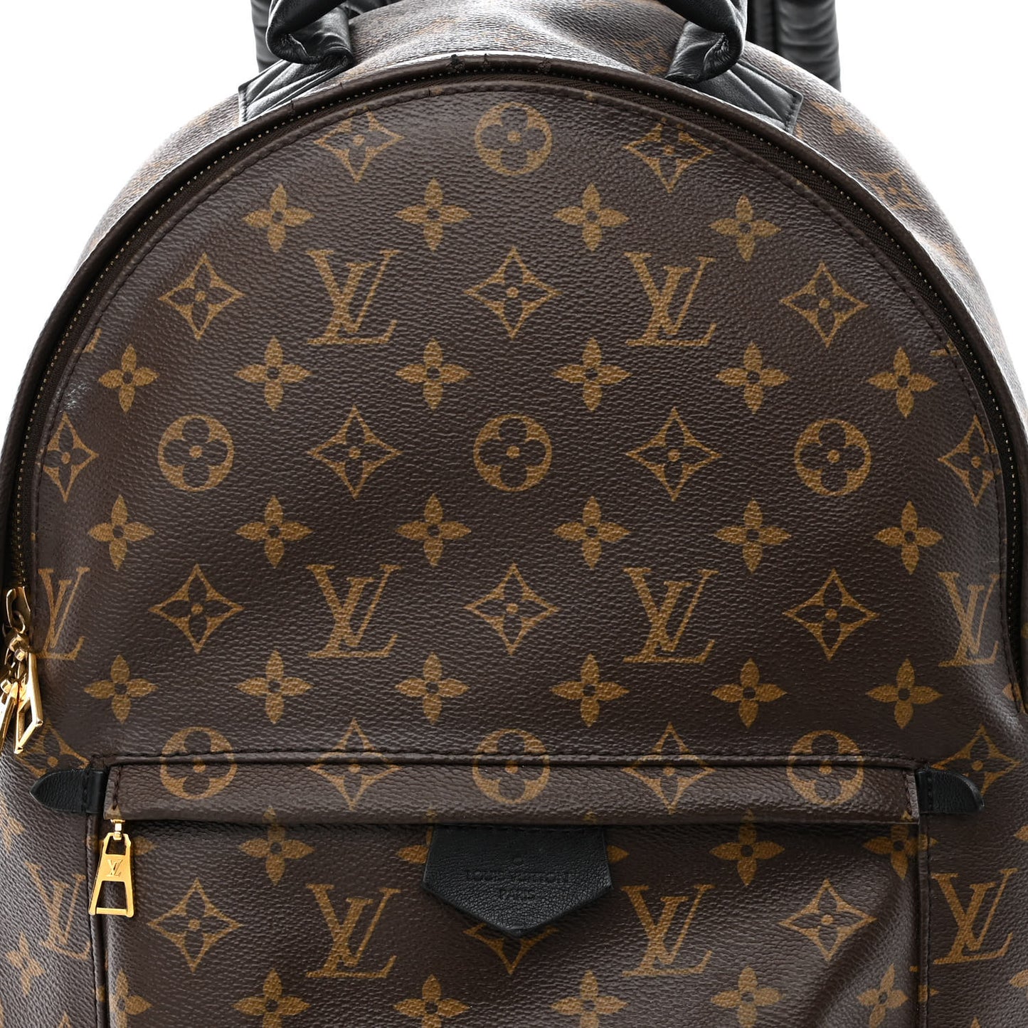 Monogram Palm Springs Backpack MM