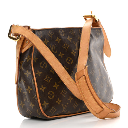 Louis Vuitton Monogram Hudson GM 3 of 23