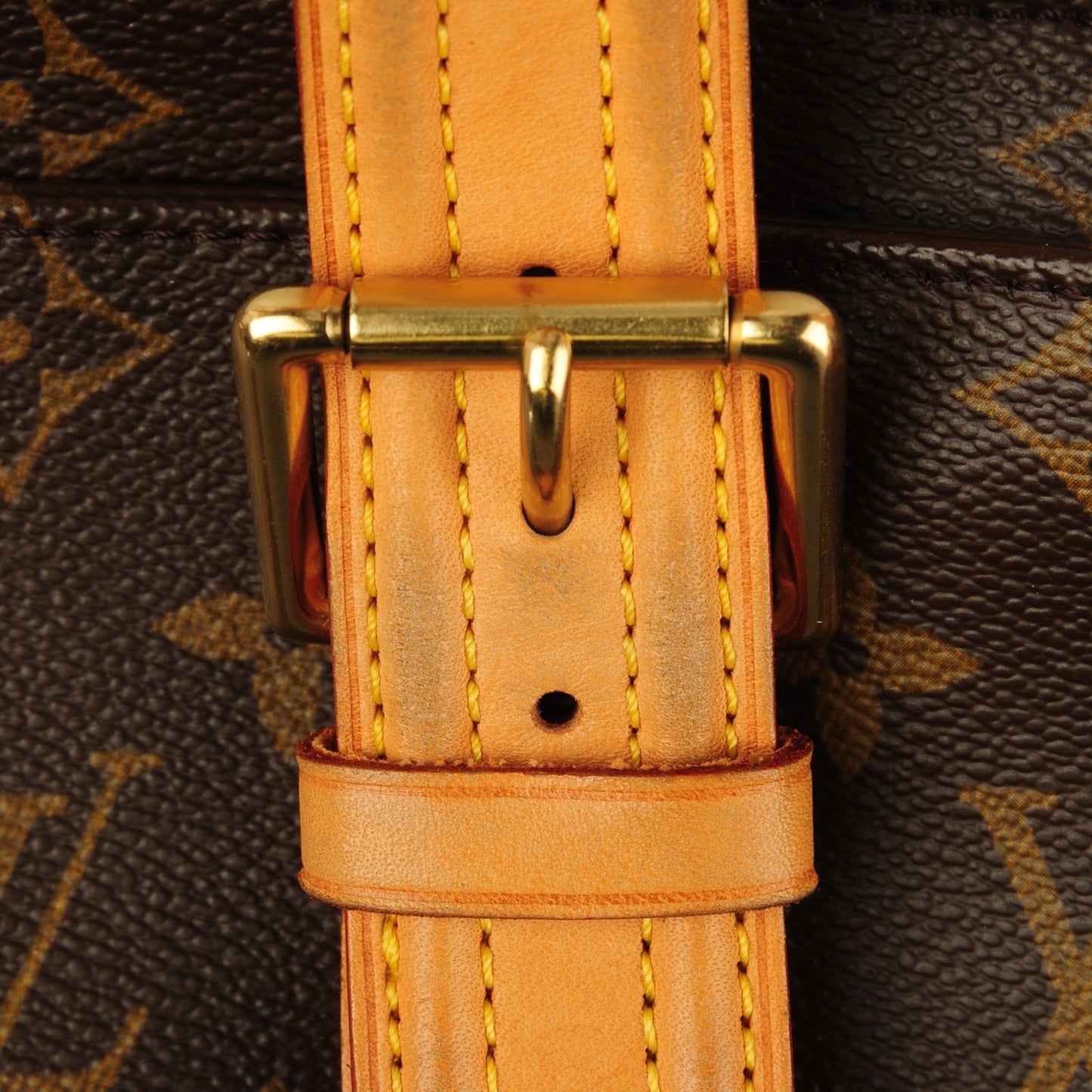 Monogram Multipli-Cite