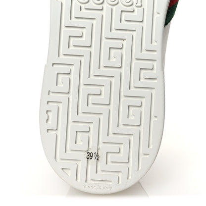 Gucci Calfskin Crocodile Web Womens Ace Sneakers 39.5 White Green 8 of 12