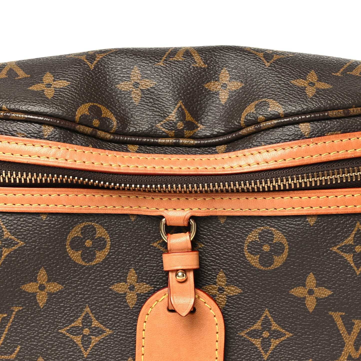 Monogram High Rise Bumbag