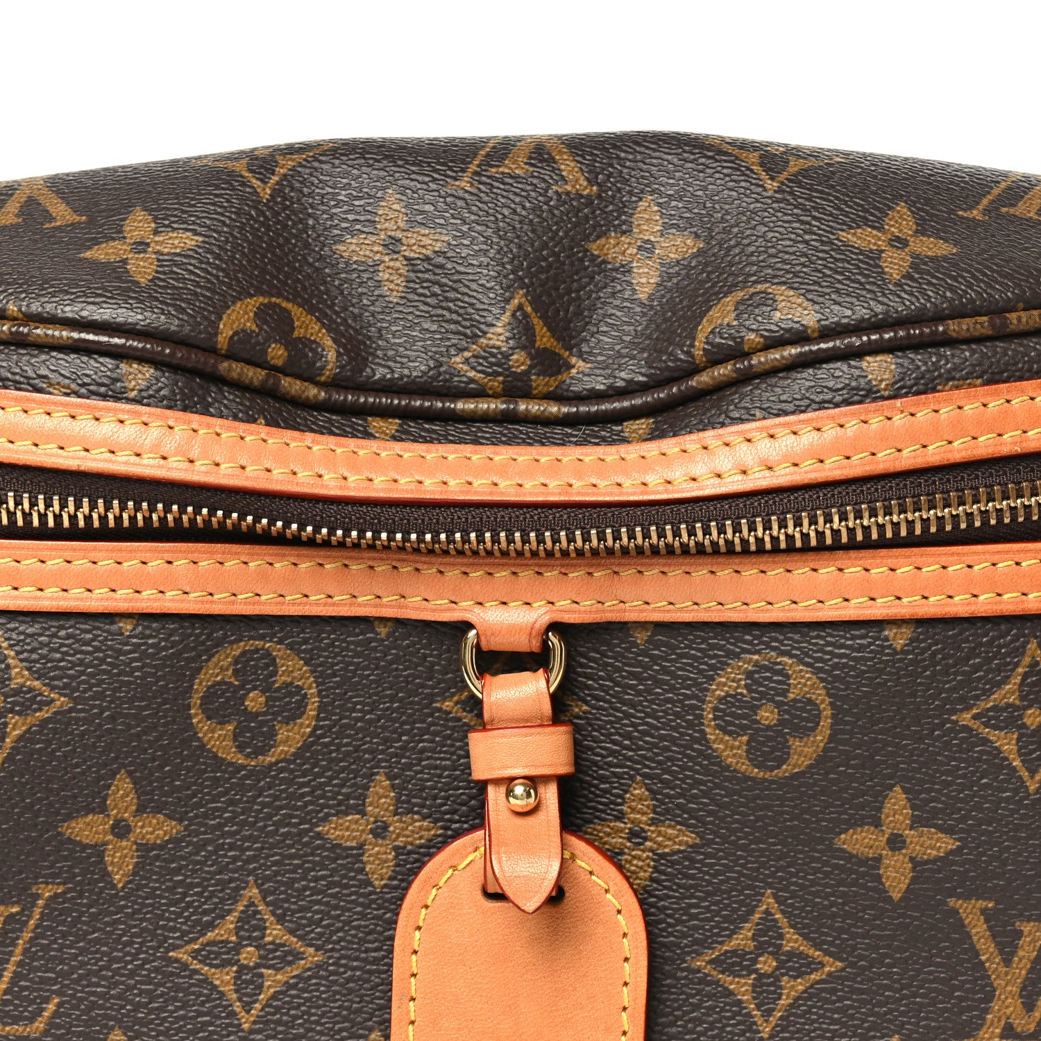Louis Vuitton Monogram High Rise Bumbag 7 of 10