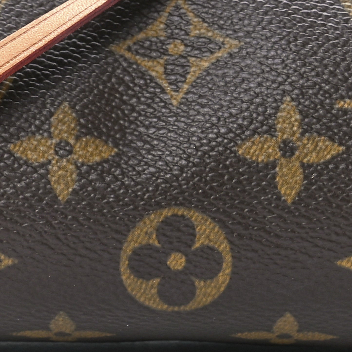 Monogram Mini Papillon