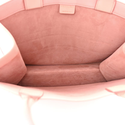 Christian Dior Gradient Smooth Calfskin Embossed Medium Book Tote Pink 5 of 10