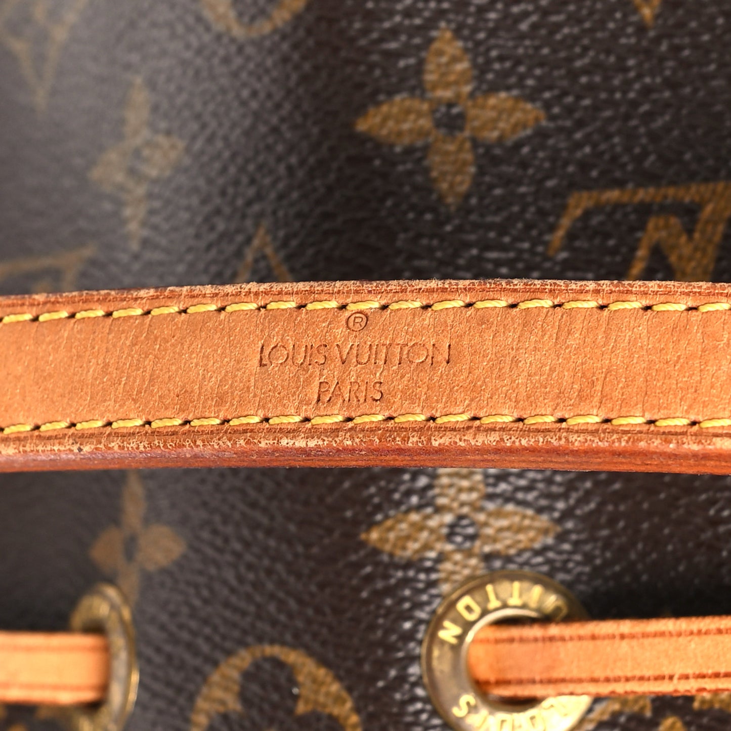 Monogram Mini Noe