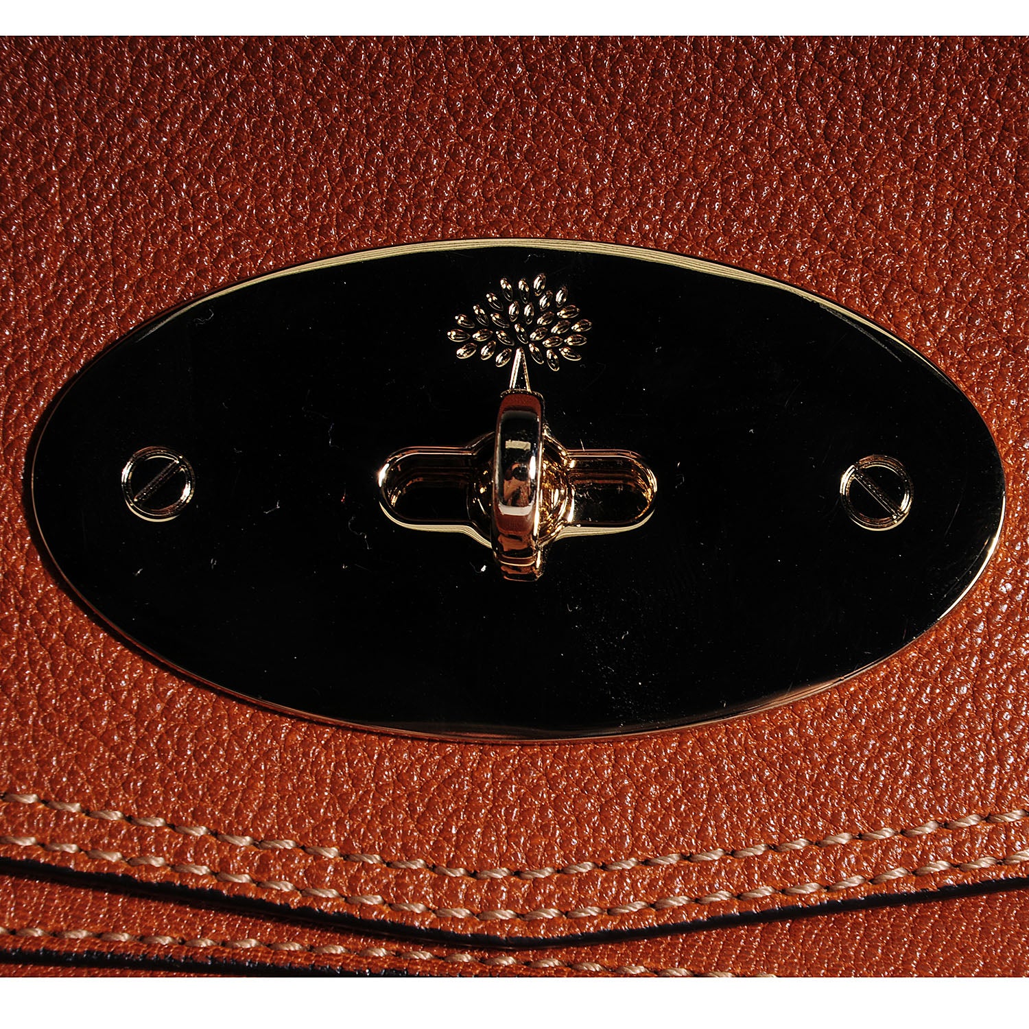 Mulberry Soft Buffalo Medium Alexa Oak 5 of 19