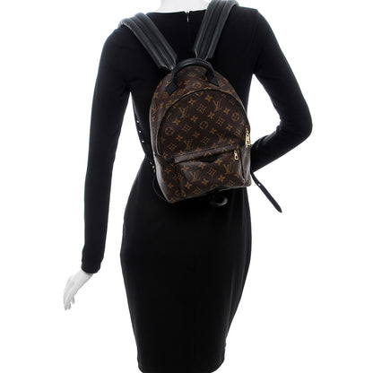 Louis Vuitton Monogram Palm Springs Backpack PM 2 of 8