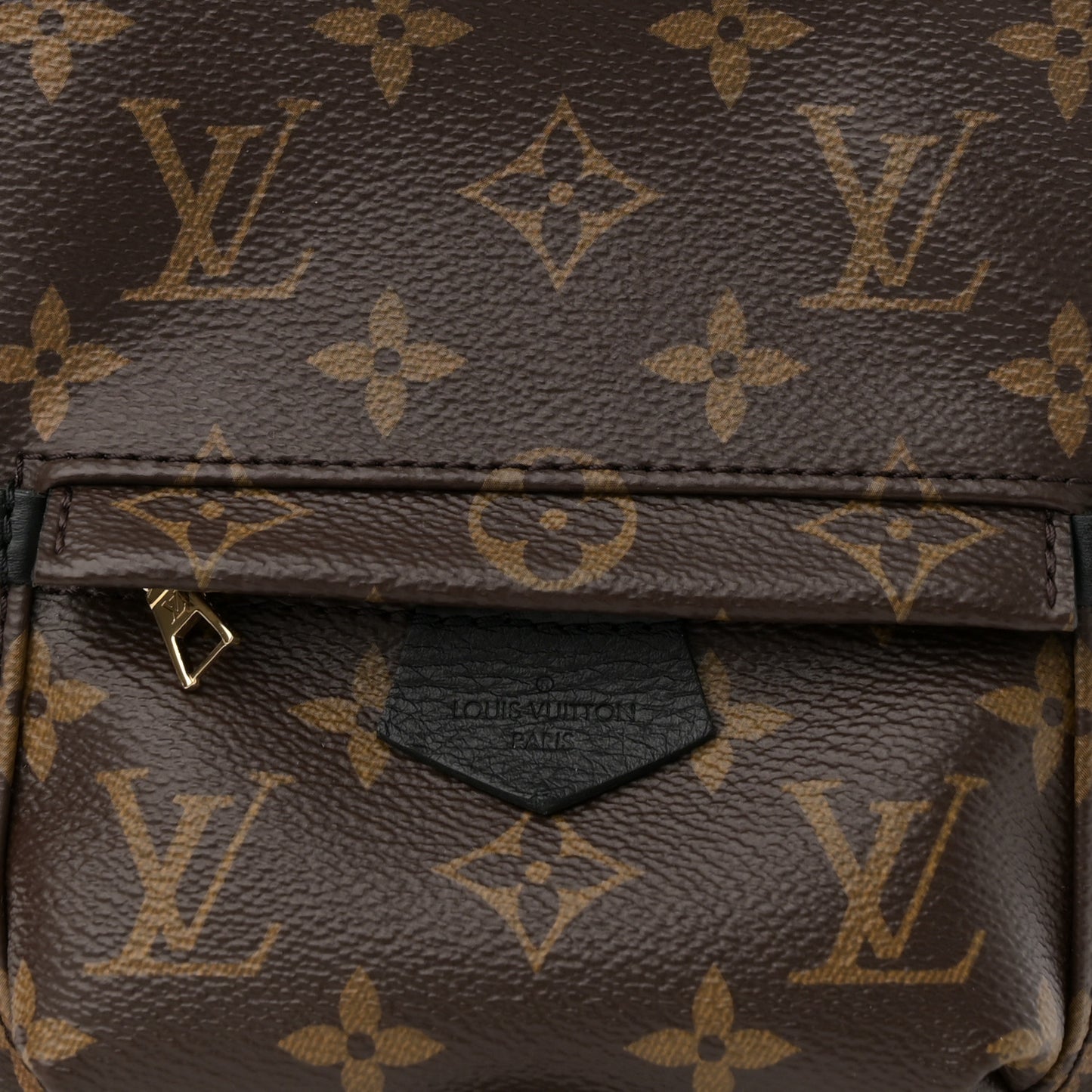 Monogram Palm Springs Backpack Mini
