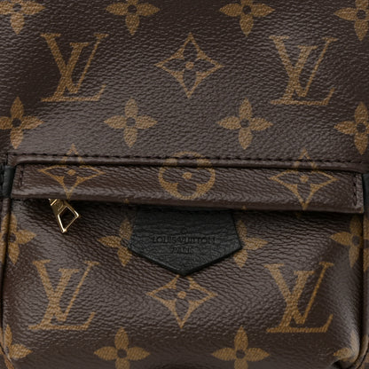Louis Vuitton Monogram Palm Springs Backpack Mini 7 of 12