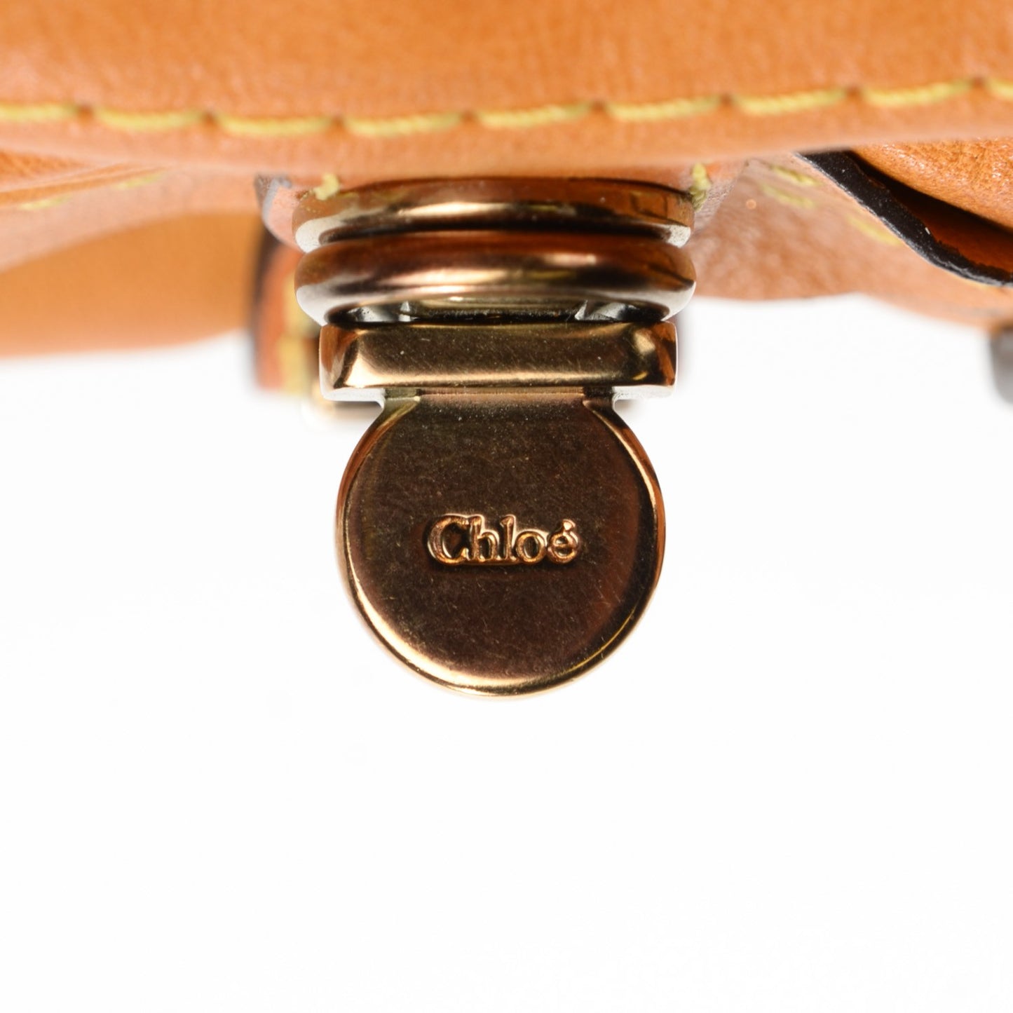 Calfskin Large Paraty Curcuma