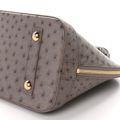 Louis Vuitton Ostrich Alma PM Gris 8 of 10
