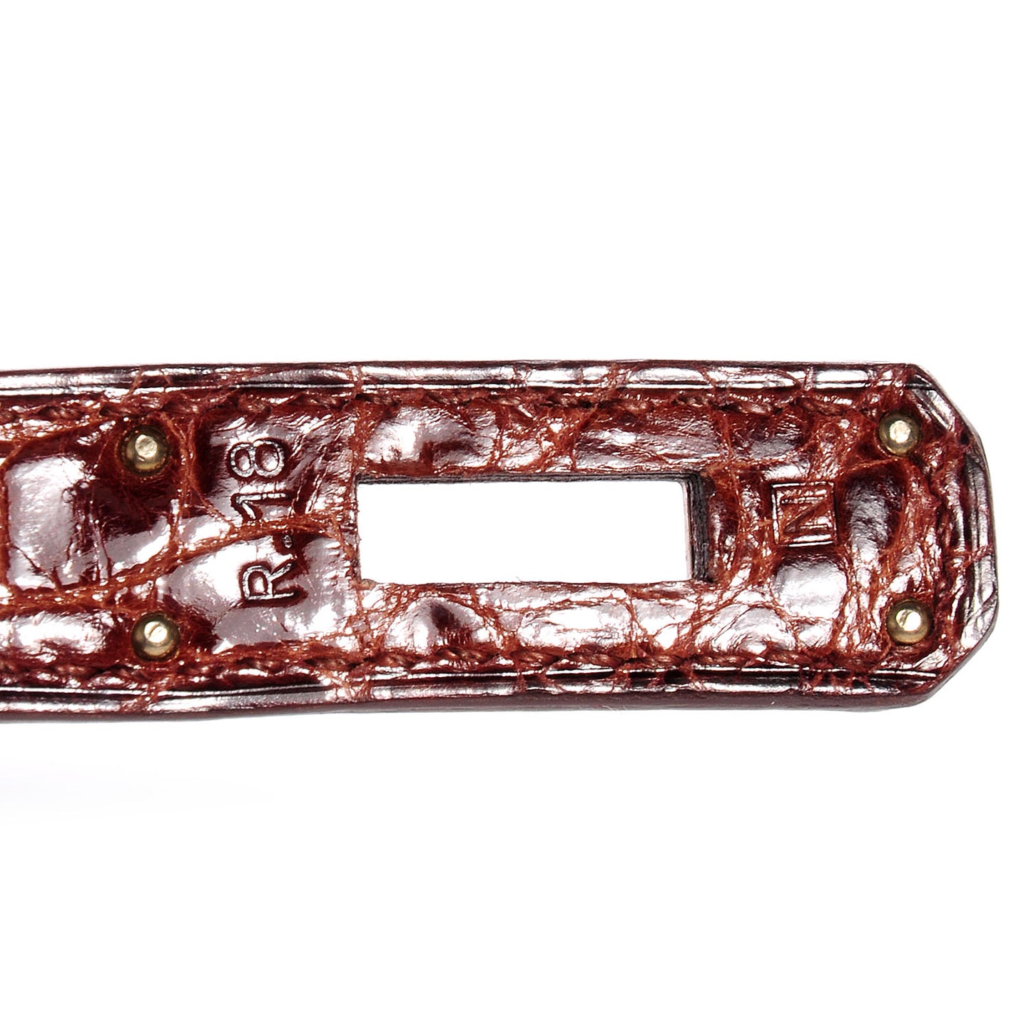 Shiny Niloticus Crocodile Kelly Cut Pochette Terre
