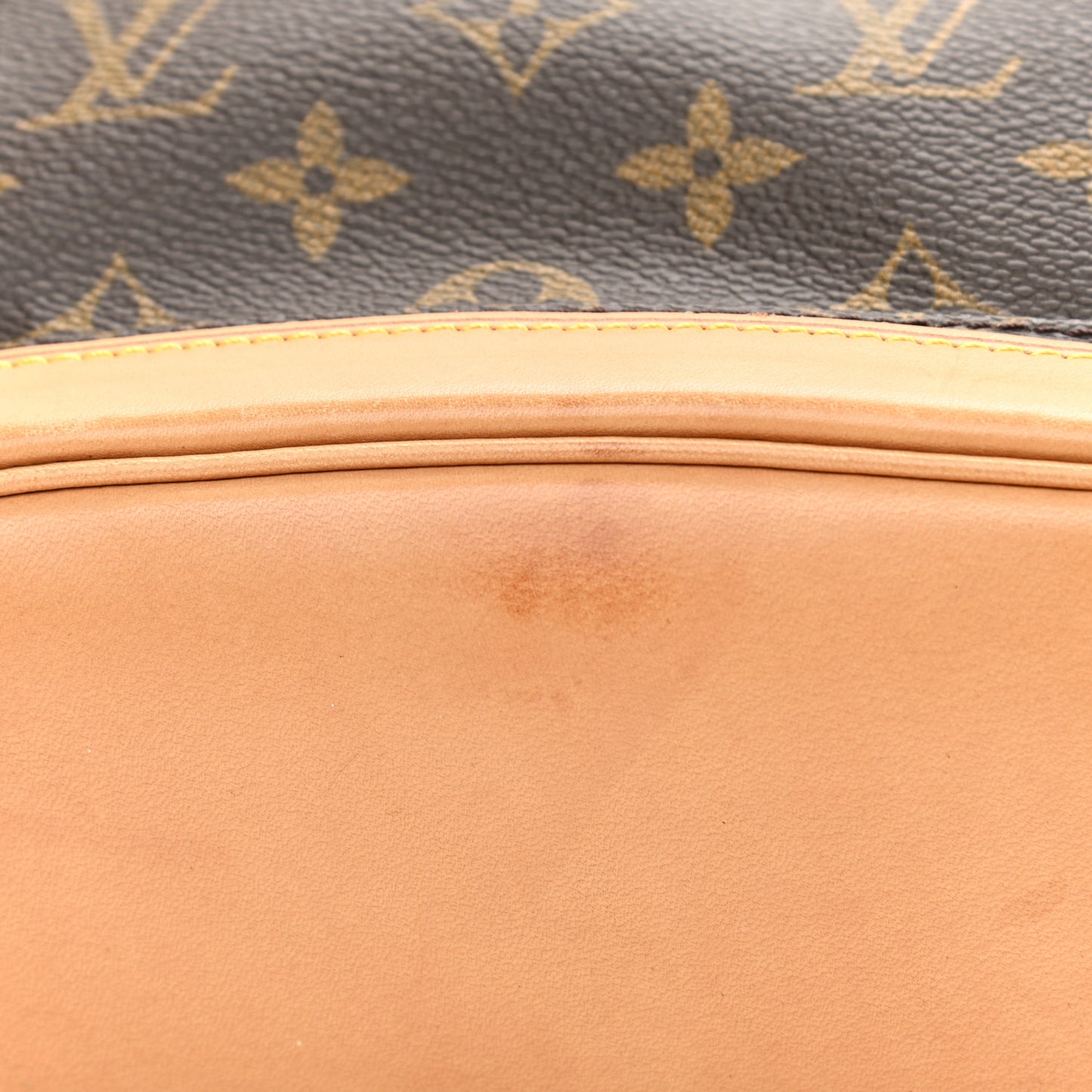 Monogram Mini Montsouris Backpack