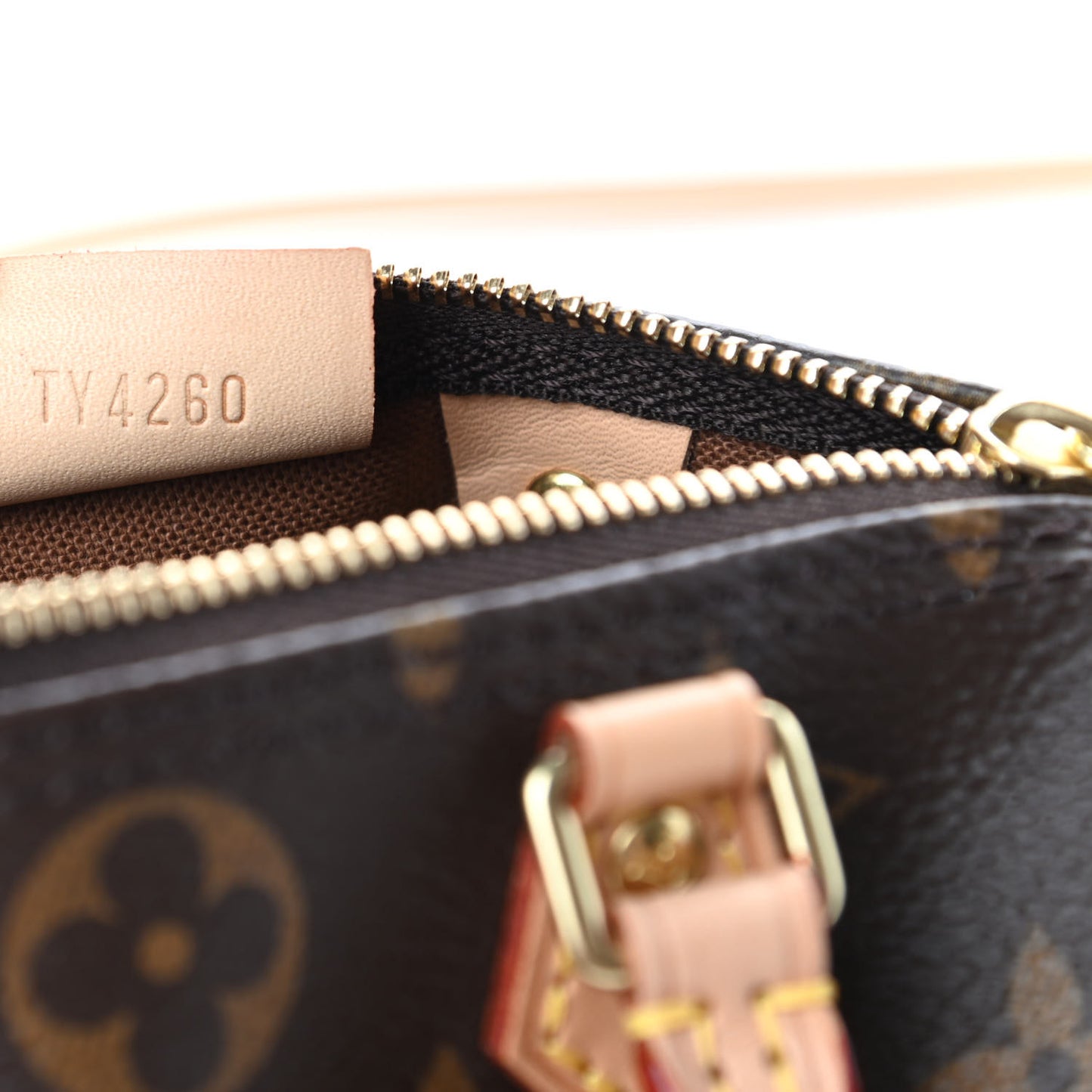 Monogram Nano Speedy