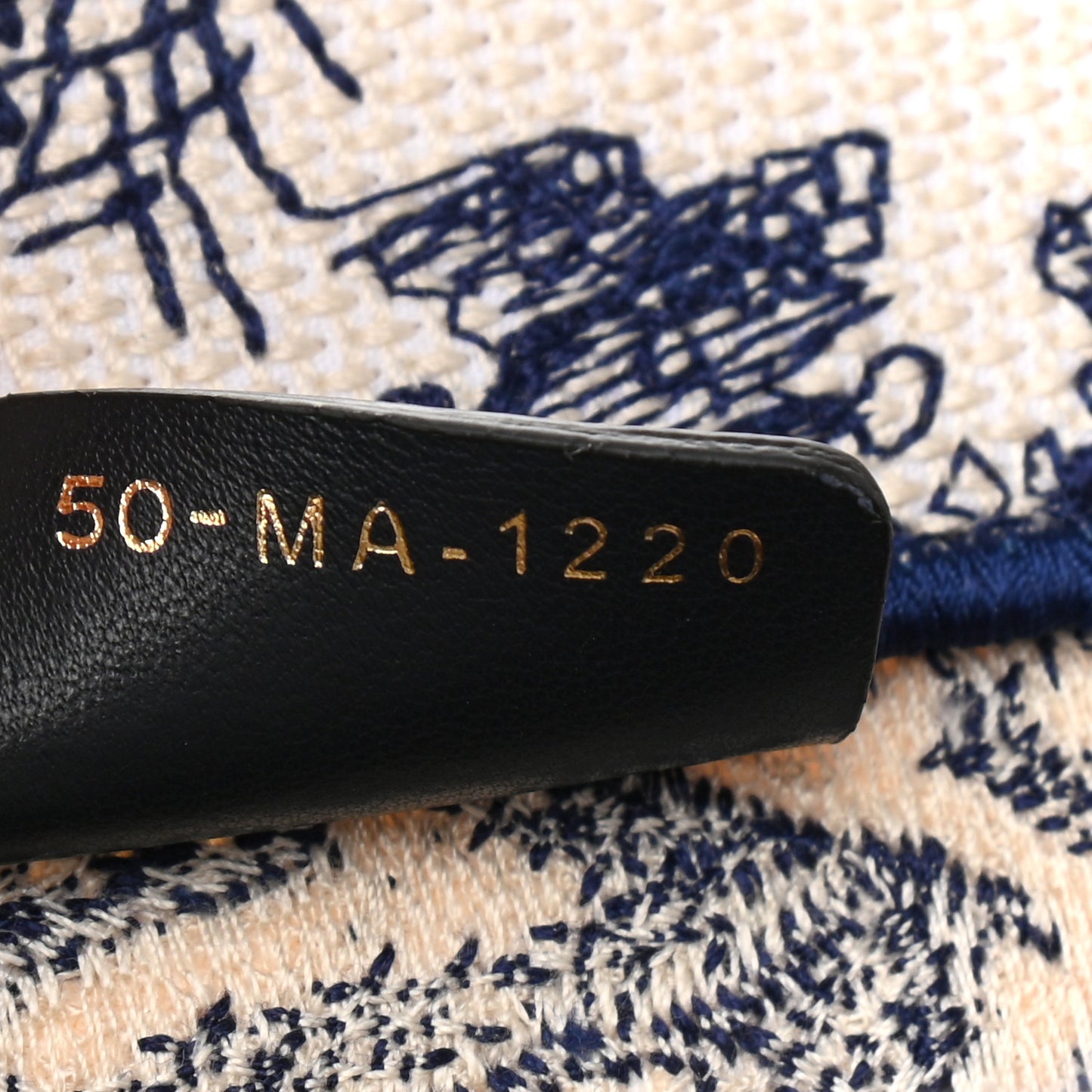 Canvas Embroidered Medium Dioriviera Toile De Jouy Book Tote Blue