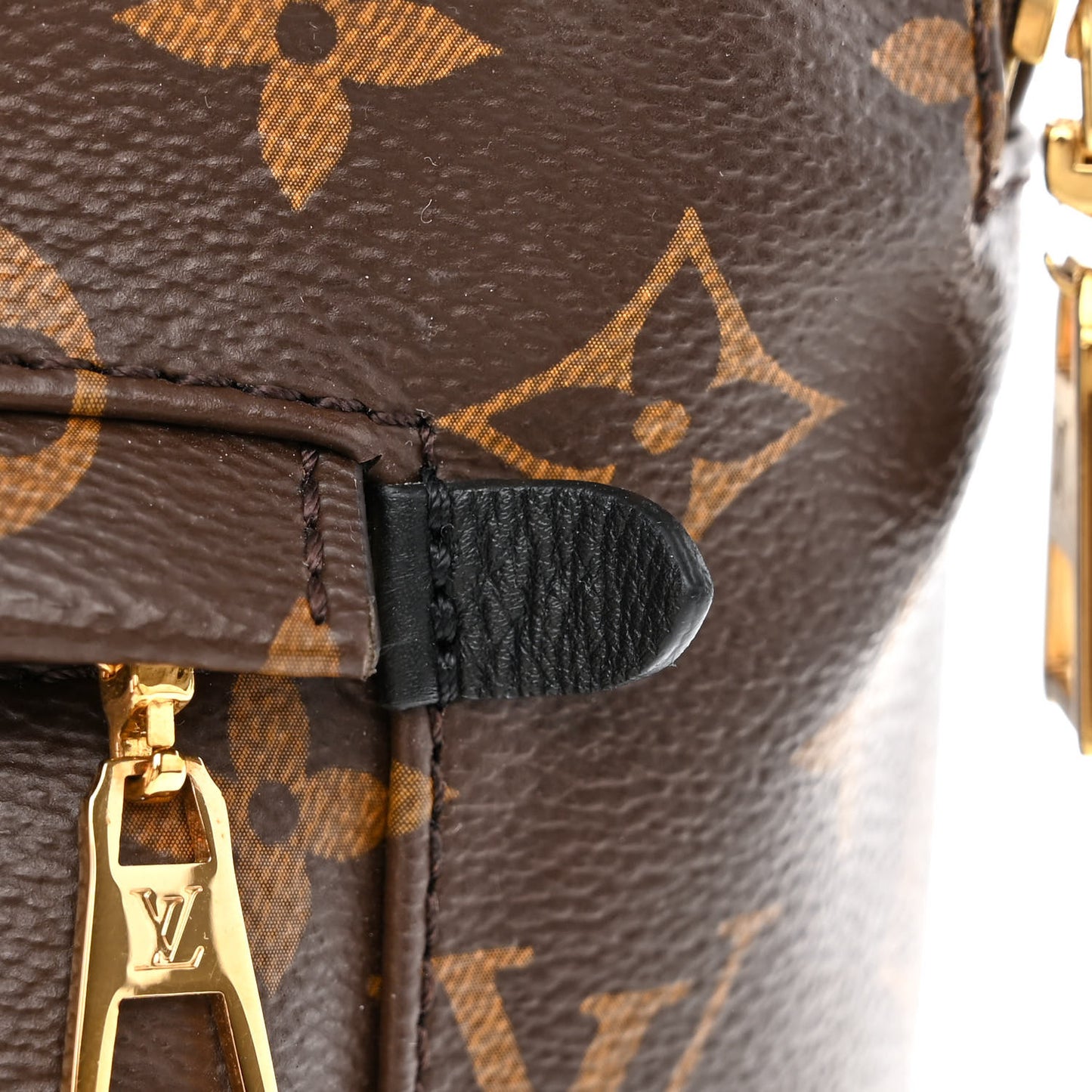 Monogram Palm Springs Backpack MM