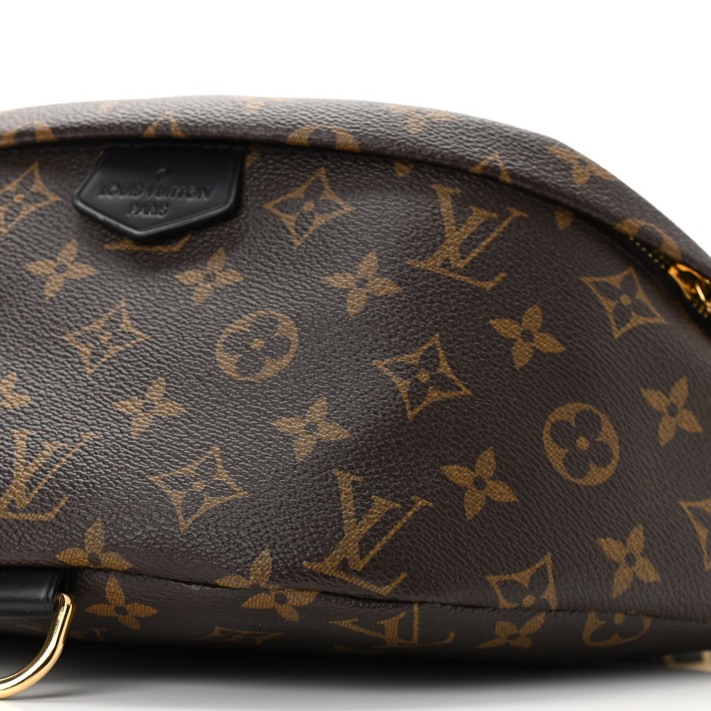 Monogram My LV World Tour Bumbag