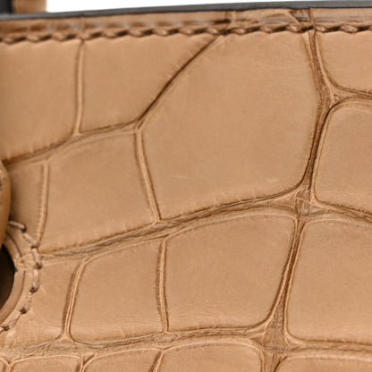 Hermes Togo Matte Alligator Birkin Touch 25 Chai 17 of 25